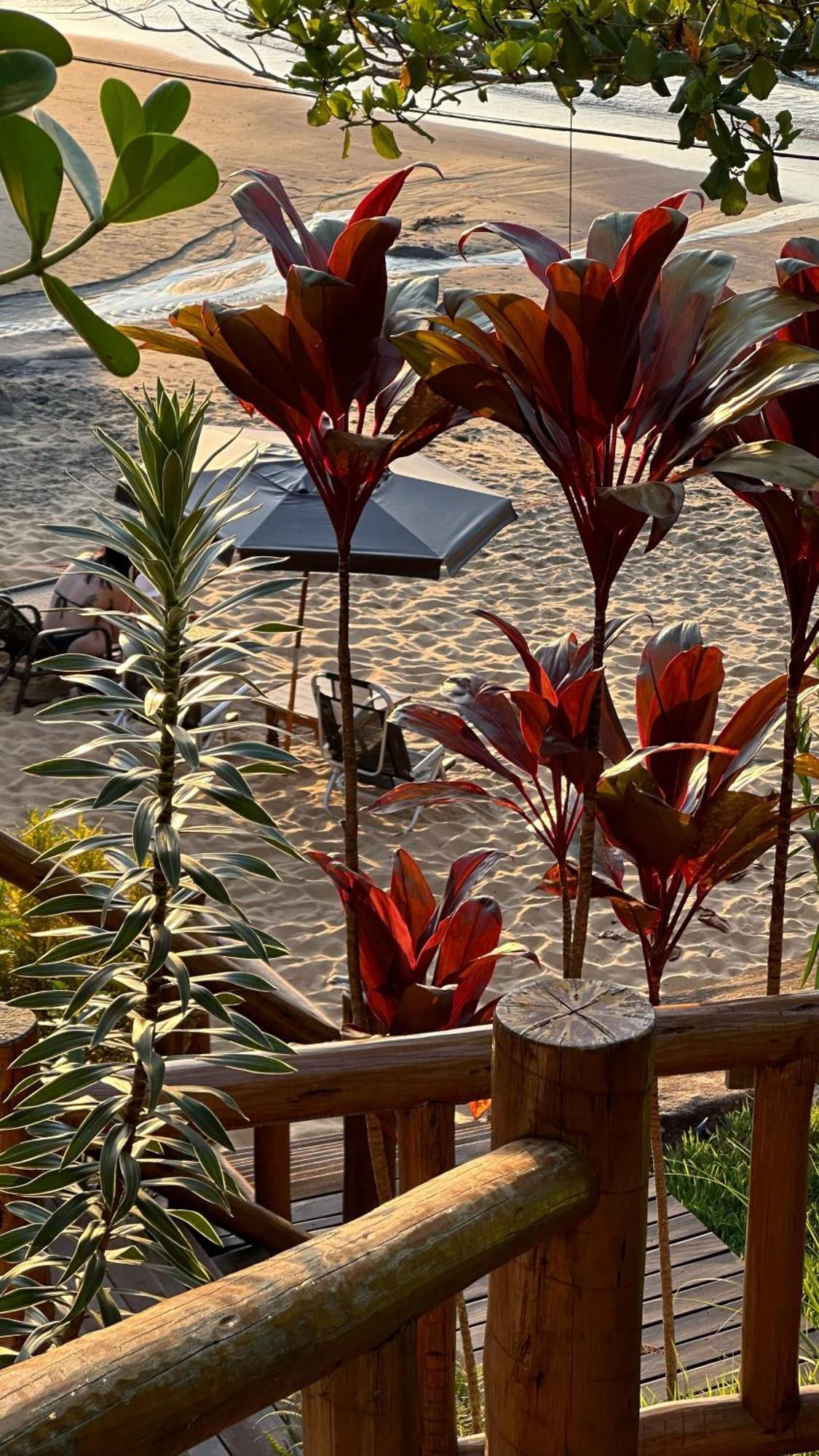 Guest house Belas Aguas Praia de Aracatiba
